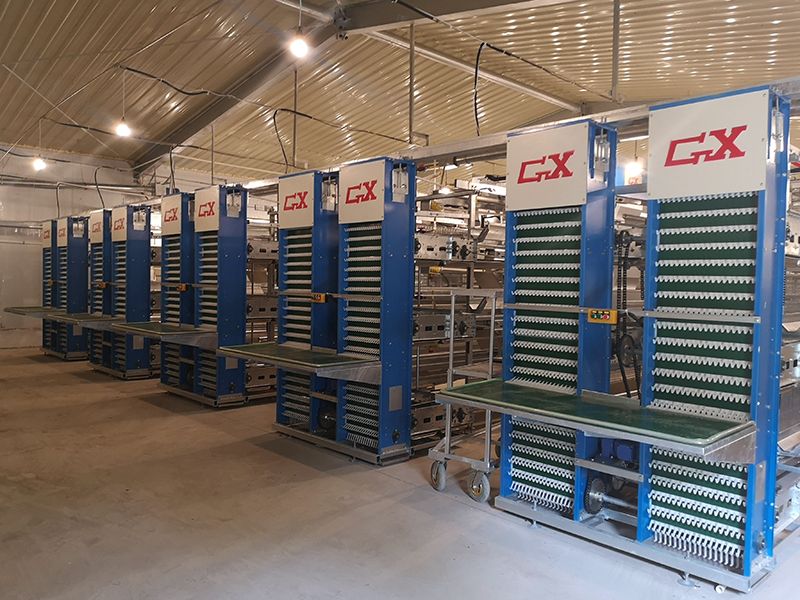 product-800-600 product-800-600