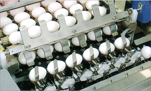 product-501-302